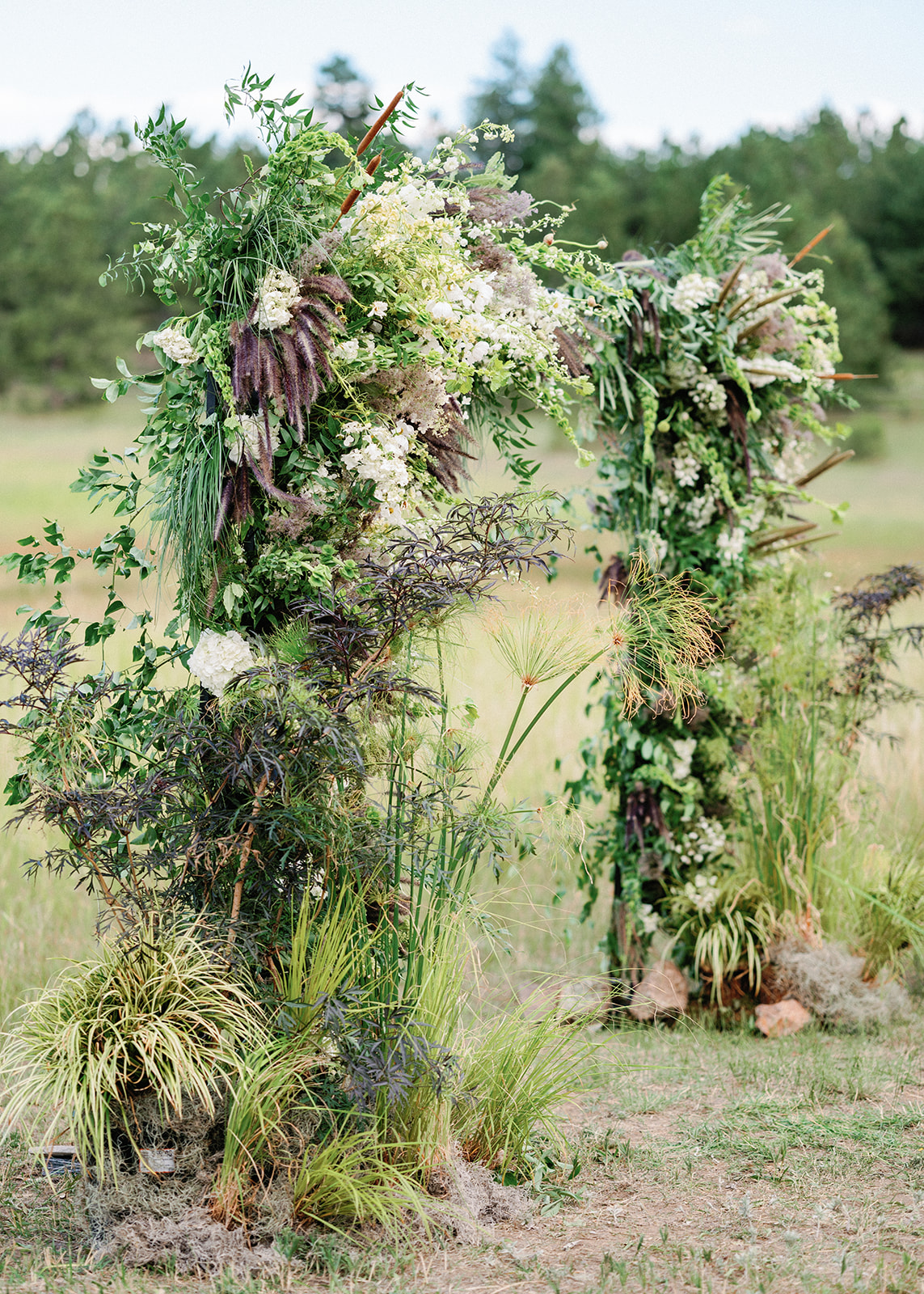 SarahPorterPhotography_TxC-504_websize